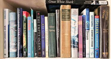 Rectangular photo of Ret Talbot’s office bookshelf showing titles exploring sharks and other marine biology topics. Photo credit Ret Talbot.