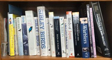 Rectangular photo of Sneed B. Collard’s office bookshelf with books on birds of America, Europe, Central America, and elsewhere, along with books on bird biology. Photo credit Sneed B. Collard III.