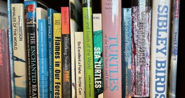 Rectangular photo of Sneed B. Collard’s office bookshelf with books on birds, sea turtles, frogs and toads, whales, and other species, as well as environments, such as the coral reef and forests. Photo credit Sneed B. Collard III.