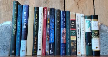 Rectangular photo of Leigh Ann Henion’s office bookshelf showing books on glowworms, lightning bugs, night flowers, darkness, trees, birds, and the impact of artificial lighting on the environment. Photo credit: Leigh Ann Henion.