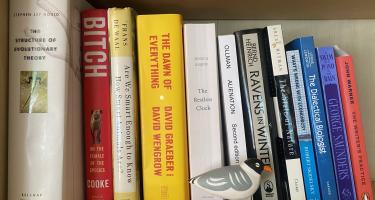 Rectangular photo of Ambika Kamath’s office bookshelf showing works on evolutionary theory, biology, nature, feminism, and writing. Photo credit: Ambika Kamath.