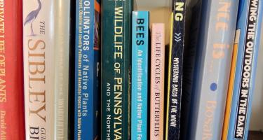 Rectangular photo of Rebecca Hirsch’s office bookshelf showing works on bees, birds, butterflies, pollinators, plants, wildlife, and nature. Photo credit: Rebecca Hirsch.