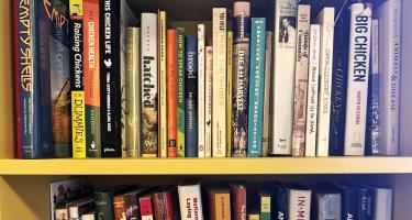 Rectangular photo of a close up view of books on a bookshelf, with spines facing out and many titles related to chickens.