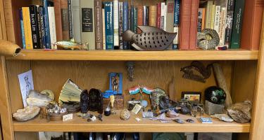 Rectangular photo of Prosanta Chakrabarty’s office bookshelf showing works on evolution, genetics, biology, and the natural world, along with personal memorabilia. Photo credit Prosanta Chakrabarty