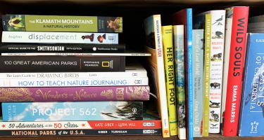 Rectangular photo of Cameron Walker’s office bookshelf showing books on drawing, journaling, and nature. Photo credit Cameron Walker
