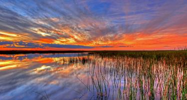 A dazzling sunset with lights and clouds shining over a wide grassy wetland in the Everglades. (Credit: G. Gardner/National Park Service)