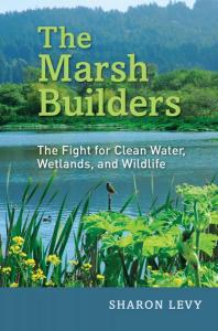 Cover: Marsh Builders