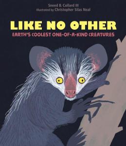 Cover of the book Like No Other: Earth’s Coolest One-of-a-Kind Creatures by Sneed B. Collard III, showing the book’s title and names of author and illustrator in brown, yellow, and red print on a dark background, along with an image of an Aye-Aye, the world’s largest nocturnal primate, living in Madagascar, with its unique elongated third finger which enables it to fish out insects from hollow cavities of trees.