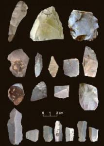 PreClovis tools from Buttermilk Creek, Texas. Courtesy Michael Waters.