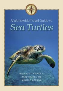 A World-Wide Travel Guide to Sea Turtles