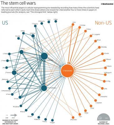 Image courtesy of New Scientist