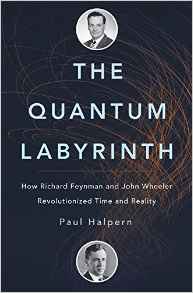 Cover of "The Quantum Labyrinth: T"