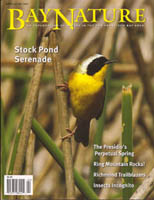 Bay Nature cover