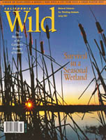 California Wild cover